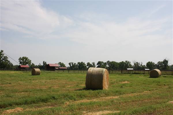 NFL Farms (7/2/2015 - Credits: Yousef Kazemi)