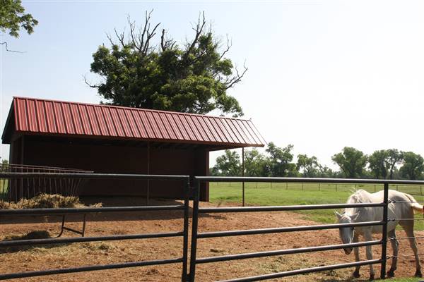 NFL Farms (7/2/2015 - Credits: Yousef Kazemi)
