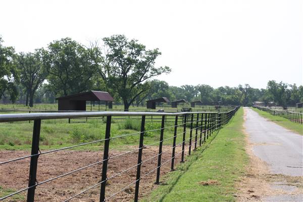 NFL Farms - Main road from circle leading into horse grazing areas and pens (7/2/2015 - Credits: Yousef Kazemi)