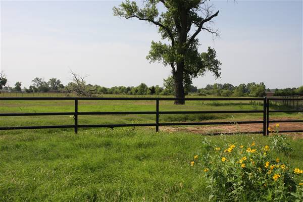 NFL Farms (7/2/2015 - Credits: Yousef Kazemi)