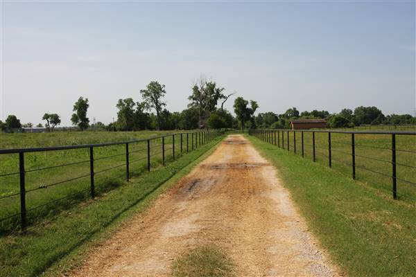 NFL Farms - Second set of horse grazing pens after the main area and passed the worker's houses (7/2/2015 - Credits: Yousef Kazemi)