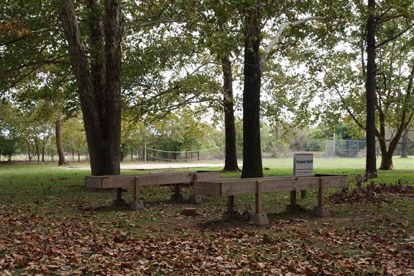 Camp DaKaNi (10/20/2017 - Credits: Christa Whetstone (intern))