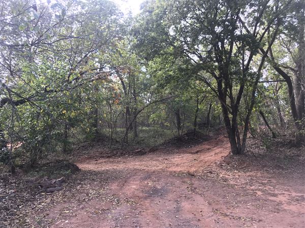 Camp DaKaNi (10/20/2017 - Credits: Yousef Kazemi)