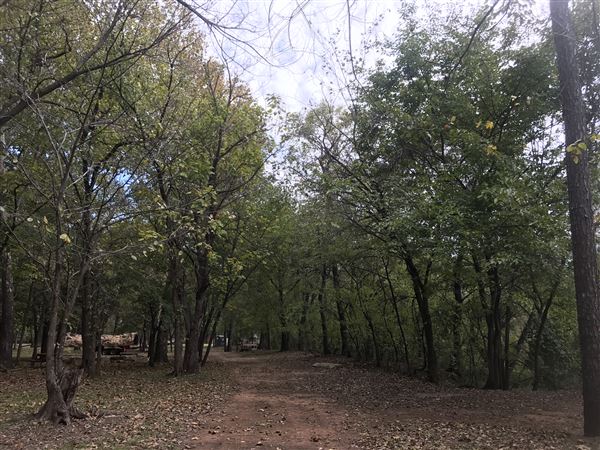 Camp DaKaNi (10/20/2017 - Credits: Yousef Kazemi)