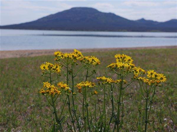 Lake Lawtonka (4/24/2018 - Credits: Yousef Kazemi)