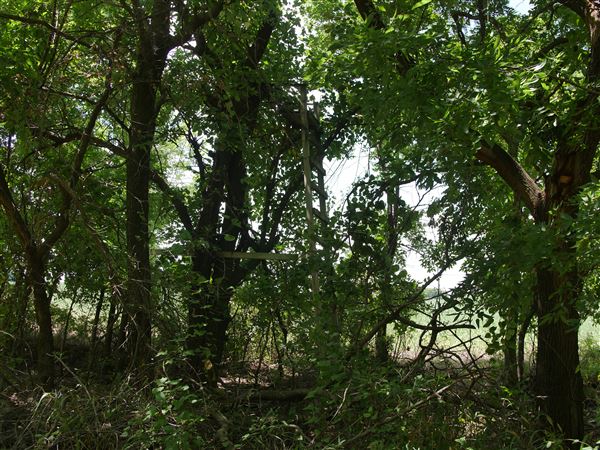 Stinchcomb Wildlife Refuge (7/31/2018 - Credits: Noah Janoe)