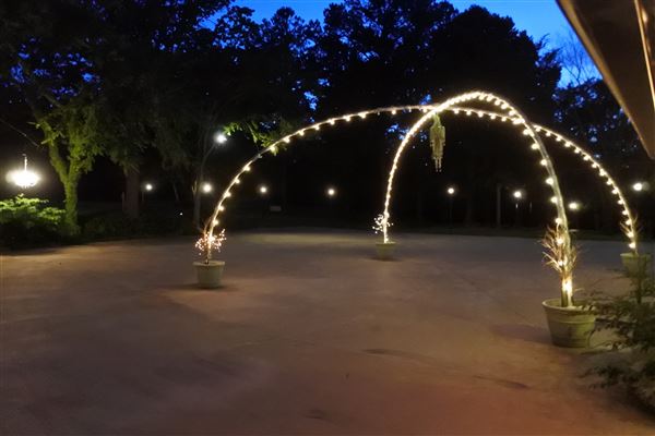 Bella Vista on the Boulevard (6/3/2019 - Credits: Tyler Slawson)