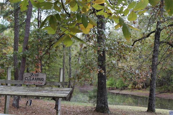Whip-poor-will Cabins - Great property with lots of charm.  Has many small rustic cabins, play area, fishing pond, gift shop that sells homemade fudge, old fashioned candies, and much more. (10/27/2017 - Credits: Charity O'Donnell)
