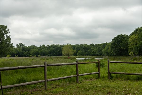 Oxley Nature Center (6/1/2020 - Credits: Brooke Allen)