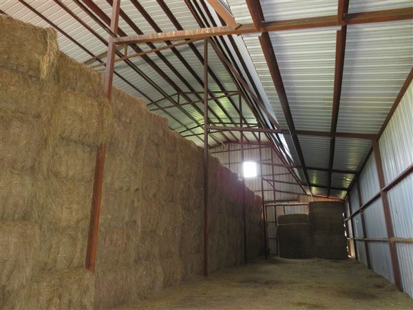 3 Bell Ranch (6/4/2021 - Credits: 6/3/2021)