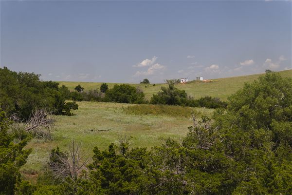 Rydell Ranch - field 2 - 2 mounds with 100' deep "red rock" canyons in between  visibility of up to 30 miles from the top of the mound Covered in mostly in eastern red cedar and some oak trees with native grasses. features slot canyons and waterfalls.  (7/28/2021 - Credits: Jeffrey Rydell)