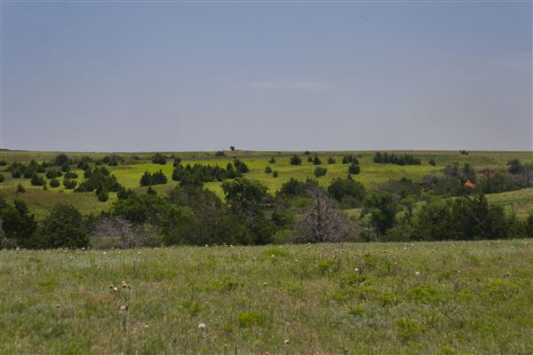 Rydell Ranch - field 2 - 2 mounds with 100' deep "red rock" canyons in between  visibility of up to 30 miles from the top of the mound Covered in mostly in eastern red cedar and some oak trees with native grasses. features slot canyons and waterfalls.  (7/28/2021 - Credits: Jeffrey Rydell)