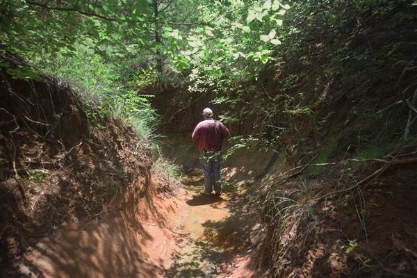 Rydell Ranch - field 2 - 2 mounds with 100' deep "red rock" canyons in between  visibility of up to 30 miles from the top of the mound Covered in mostly in eastern red cedar and some oak trees with native grasses. features slot canyons and waterfalls.  (7/28/2021 - Credits: Jeffrey Rydell)