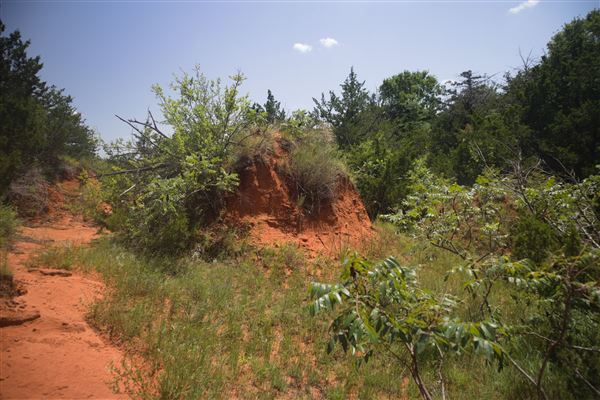 Rydell Ranch - field 2 - 2 mounds with 100' deep "red rock" canyons in between  visibility of up to 30 miles from the top of the mound Covered in mostly in eastern red cedar and some oak trees with native grasses. features slot canyons and waterfalls.  (7/28/2021 - Credits: Jeffrey Rydell)