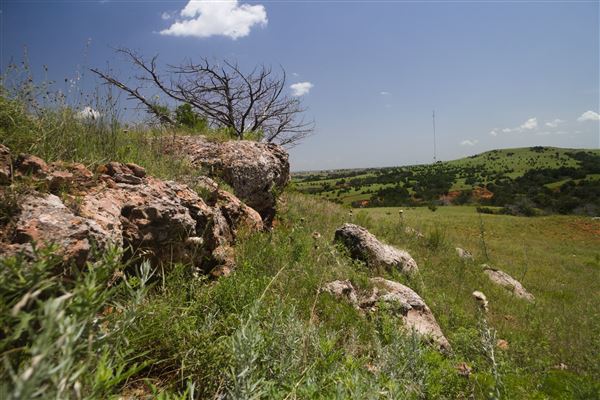 Rydell Ranch - field 2 - 2 mounds with 100' deep "red rock" canyons in between  visibility of up to 30 miles from the top of the mound Covered in mostly in eastern red cedar and some oak trees with native grasses. features slot canyons and waterfalls.  (7/28/2021 - Credits: Jeffrey Rydell)