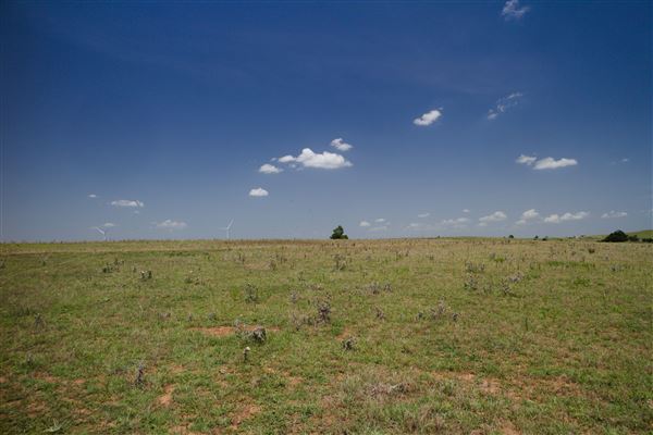Rydell Ranch - field 3 - Clear cut rolling farmland with views of up to 30 miles few trees (7/28/2021 - Credits: Jeffrey Rydell)