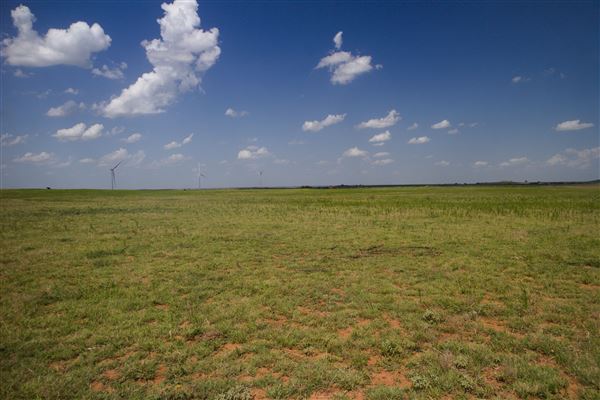 Rydell Ranch - field 7 - Clear cut rolling farmland with few trees. (7/28/2021 - Credits: Jeffrey Rydell)