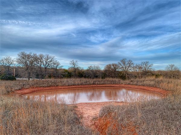 Small Pond Entertainment (1/9/2022 - Credits: Stefne Miller)