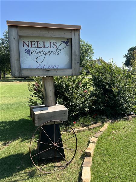 Nellis Vineyards (6/22/2022 - Credits: Yousef Kazemi / OFMO)