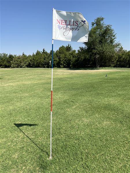 Nellis Vineyards (6/22/2022 - Credits: Yousef Kazemi / OFMO)