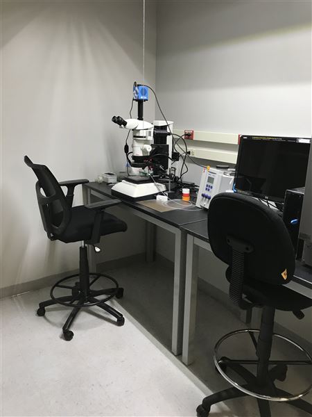 All Things Bugs (5/25/2023 - Credits: Dr. Aaron T. Dossey)