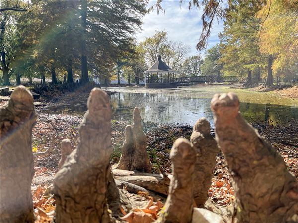Spaulding Park (11/1/2024 - Credits: Bryce Marshall)