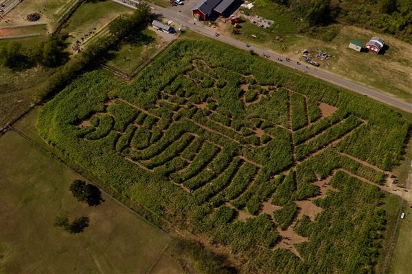 Orr Family Farm (4/18/2025 - Credits: Orr Family Farm Facebook)