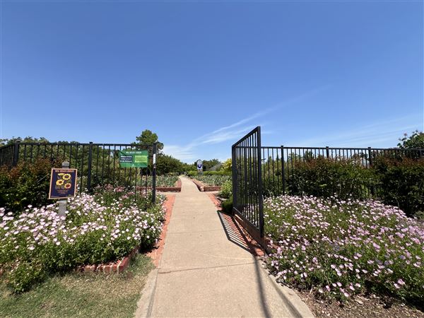 Will Rogers Gardens (5/14/2025 - Credits: Yousef Kazemi / OF+MO)