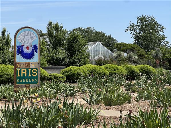 Will Rogers Gardens (5/14/2025 - Credits: Yousef Kazemi / OF+MO)