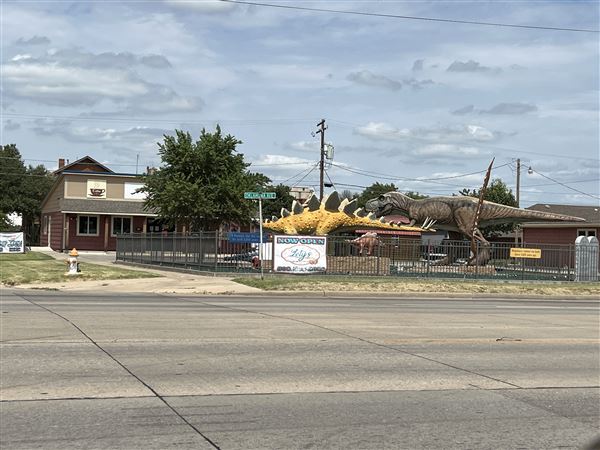 Dinosaur Photo Park (8/25/2023 - Credits: Yousef Kazemi / OF+MO)