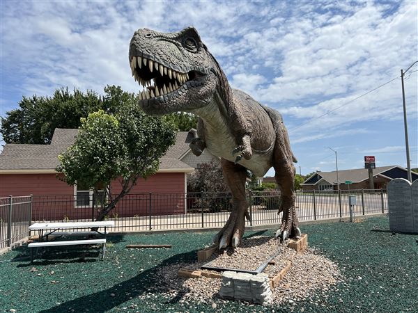 Dinosaur Photo Park (8/25/2023 - Credits: Yousef Kazemi / OF+MO)