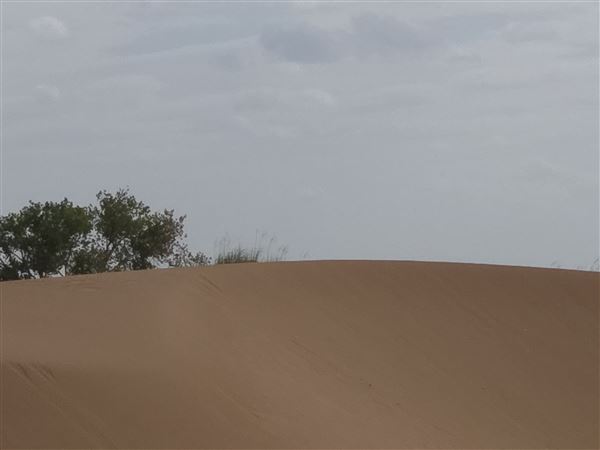 America's Oasis (7/7/2025)