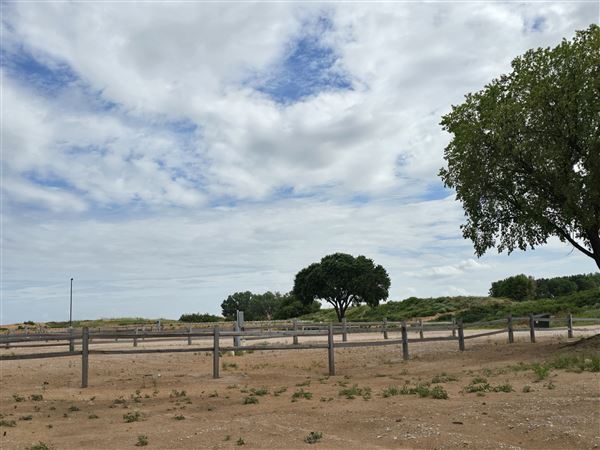 America's Oasis (7/7/2025)