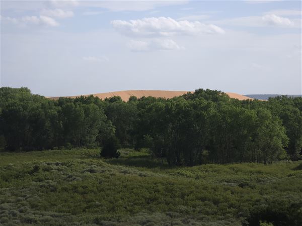 Little Sahara State Park (7/7/2025)