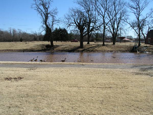 Mineral Wells Park (2/8/2009)