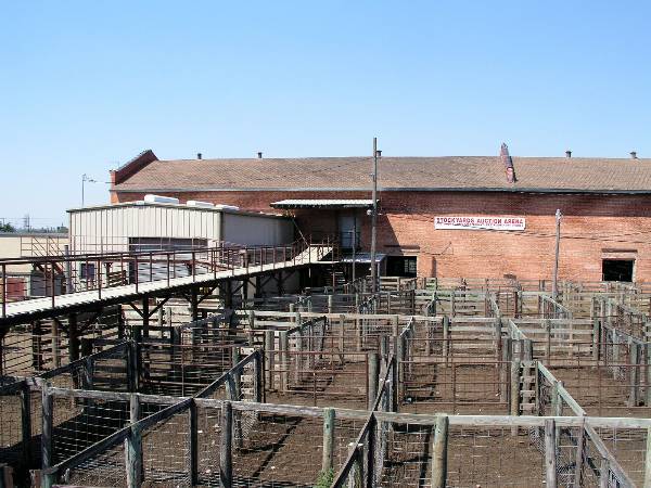 Oklahoma City Stockyards (2/9/2009)