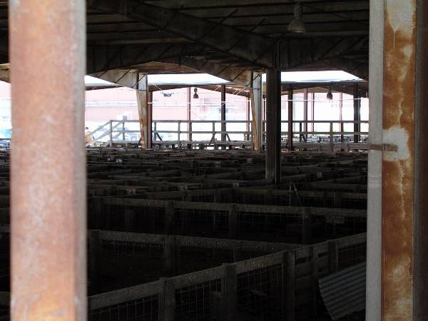 Oklahoma City Stockyards (2/9/2009)