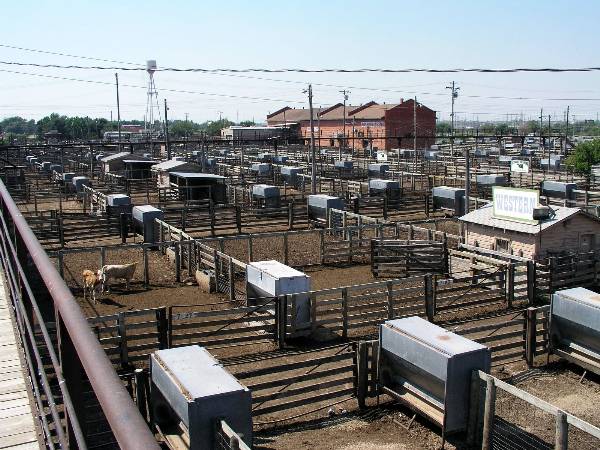 Oklahoma City Stockyards (2/9/2009)