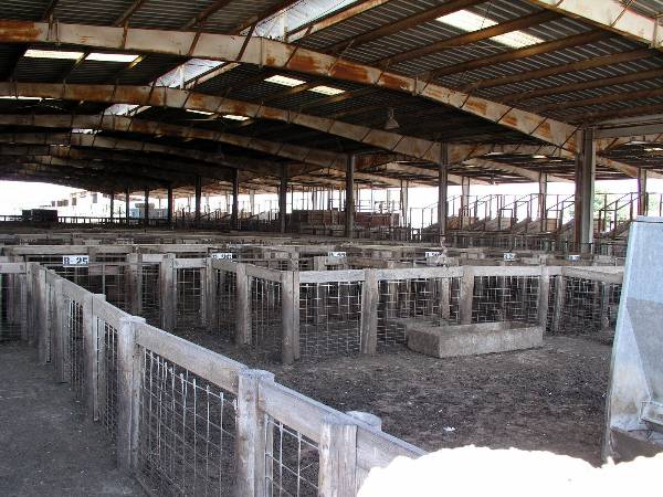 Oklahoma City Stockyards (2/9/2009)