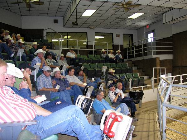 Oklahoma City Stockyards (2/9/2009)