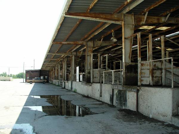 Oklahoma City Stockyards (2/9/2009)