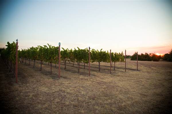 Ingel's Winery (2/26/2014 - Credits: Oklahoma Tourism - TravelOK)