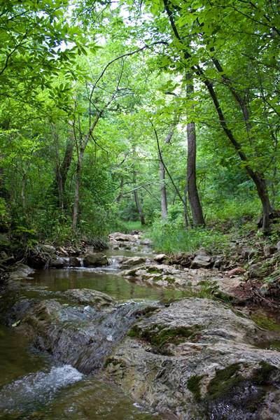 Turner Falls (4/9/2014 - Credits: Oklahoma Tourism - TravelOK)