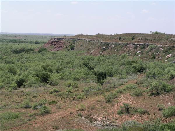 Sandy Sanders Wildlife Management Area
