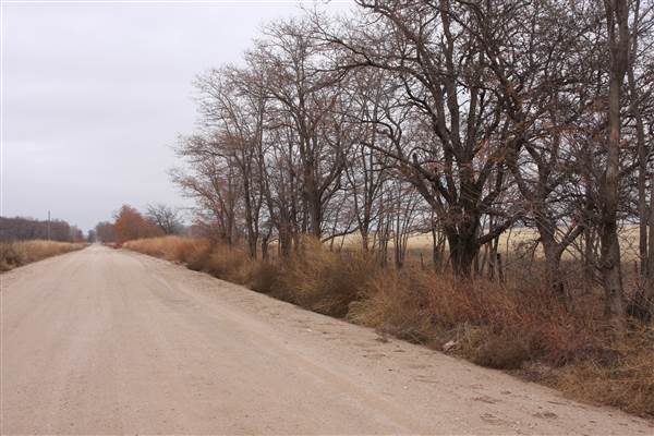 Nightmare in the Country - Kenton Ranch (12/10/2014 - Credits: Yousef Kazemi)
