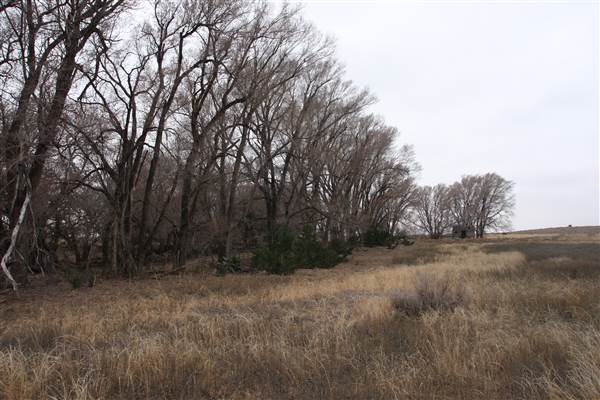 Nightmare in the Country - Kenton Ranch (12/10/2014 - Credits: Yousef Kazemi)