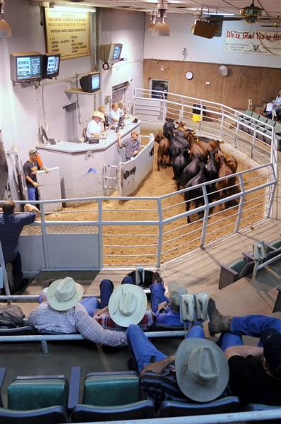 Oklahoma City Stockyards (7/18/2014 - Credits: Oklahoma Tourism - TravelOK)