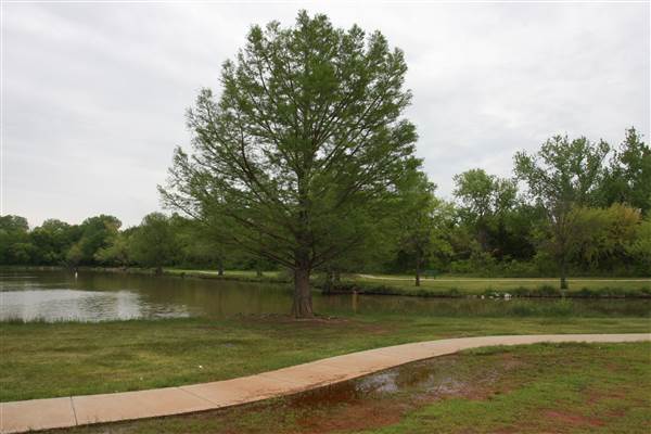 Dolese Youth Park (4/24/2015 - Credits: Yousef Kazemi)