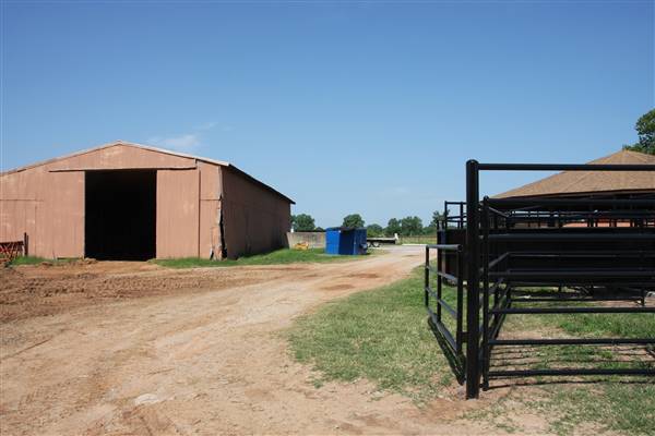 NFL Farms (7/2/2015 - Credits: Yousef Kazemi)