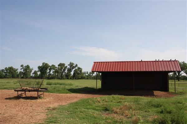 NFL Farms - PEN - SECTION - off of Main road from circle leading into horse grazing areas and pens (7/2/2015 - Credits: Yousef Kazemi)